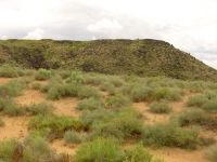 Petroglyph National Monument